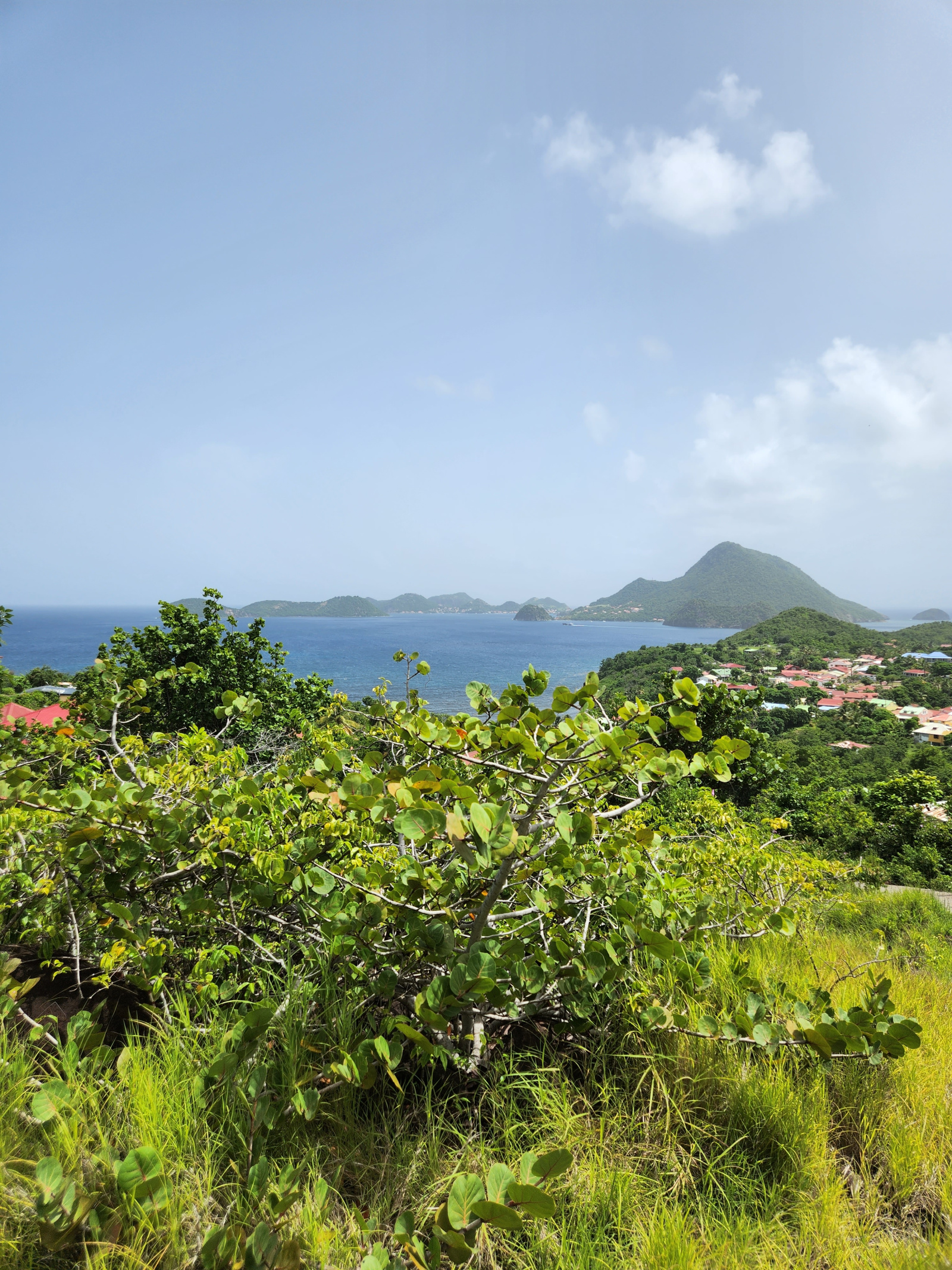 Vente A Vendre 1 Terrain VUE MER à Terre de Bas LES SAINTES